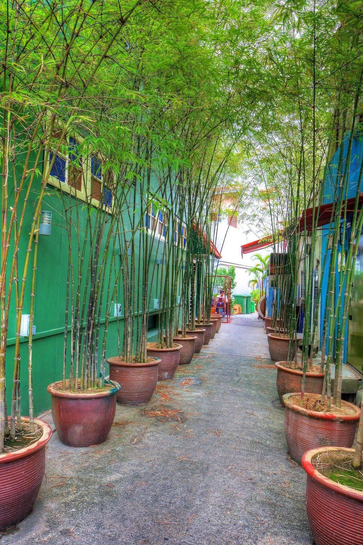 Superb Hostel Σιγκαπούρη Εξωτερικό φωτογραφία